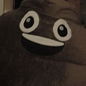 Meet your Posher, Dominick